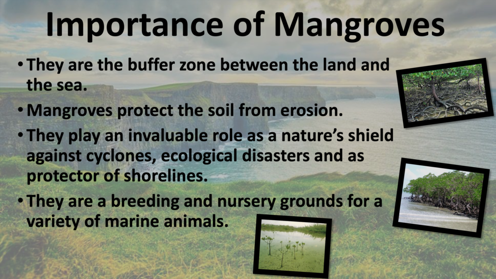 Marine Processes geography